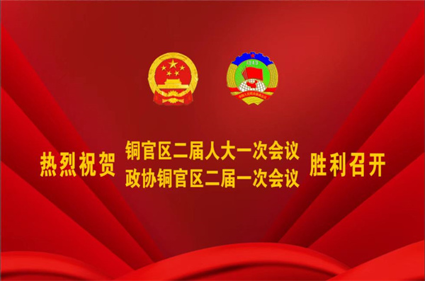 熱烈祝賀公司董事、副總經(jīng)理王從偉被選為 第二屆銅陵市銅官區(qū)政協(xié)常務(wù)委員